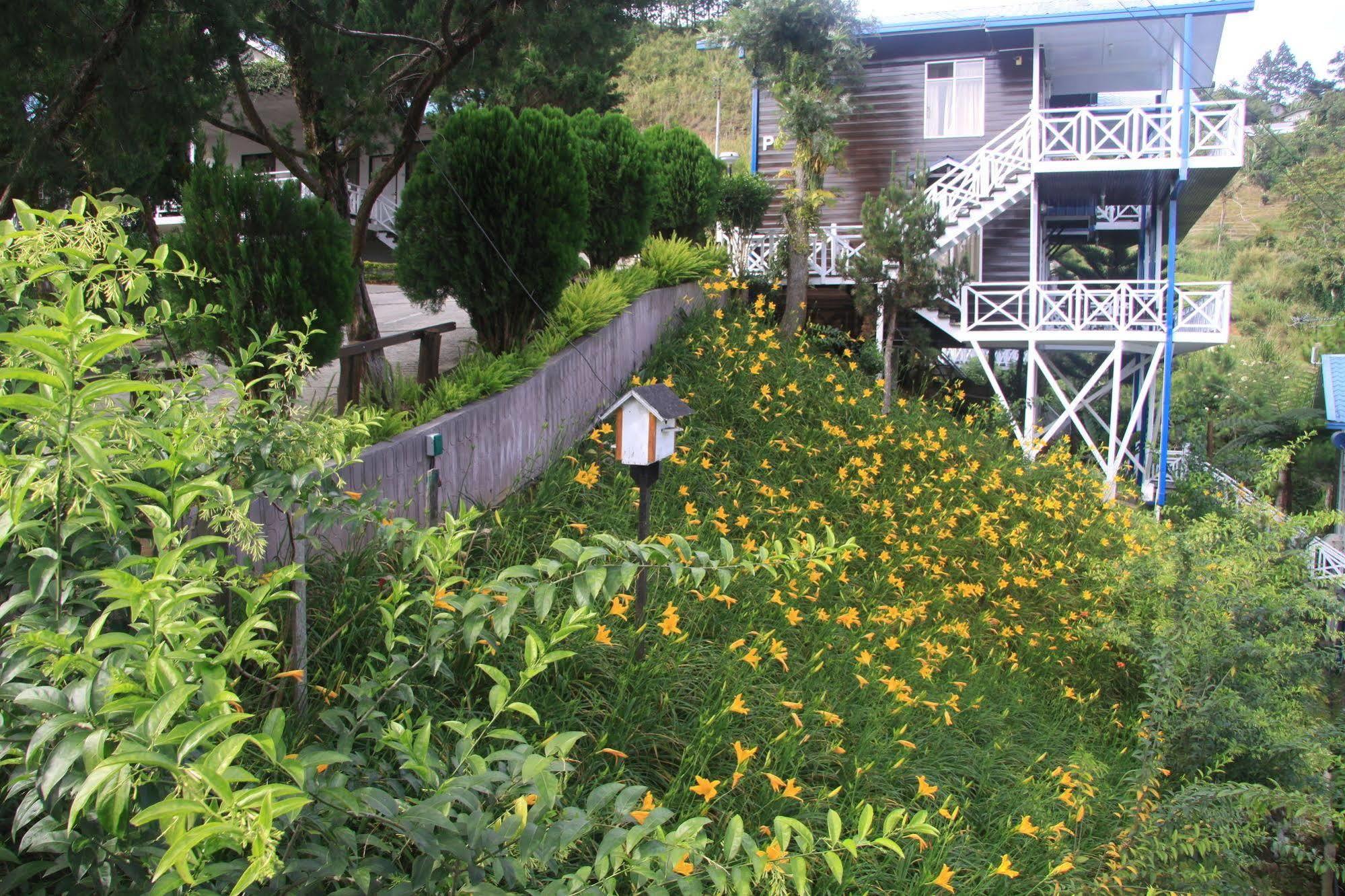 Kinabalu Pine Resort Kampong Kundassan Exterior foto